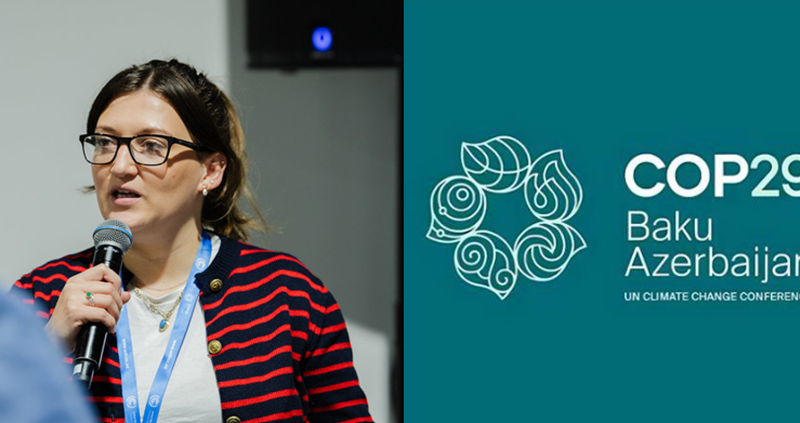 COP29: Agri negotiations conclude with slow, but steady progress