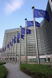 European parliament